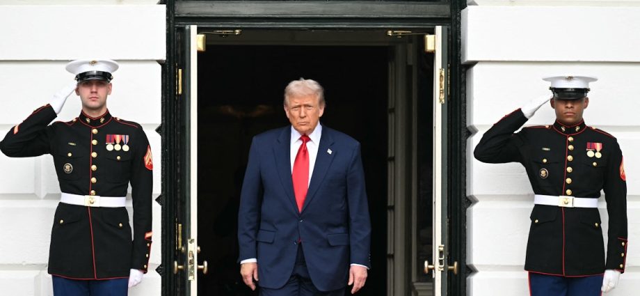 fraudster-the-traitor-pardoned-is-going-back-to-prison-…-for-fraud