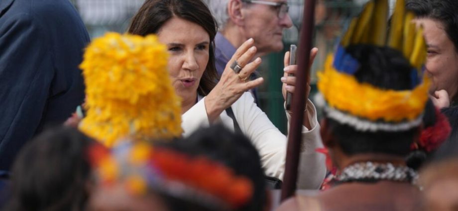‘We refuse to be sacrificed’: Indigenous groups disrupt COP30 summit in Brazil