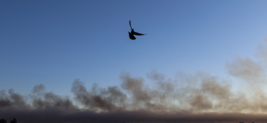 ukraine-prepares-first-environmental-war-damage-claim-in-history-against-russia-for-237-million-tons-of-co2-emissions