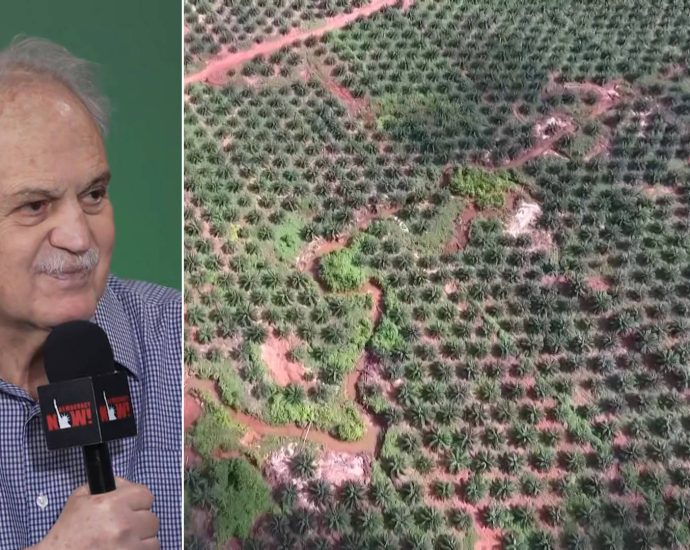 the-race-to-save-the-amazon:-top-brazilian-scientist-says-rainforest-is-at-“tipping-point”