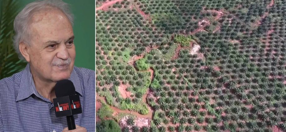 the-race-to-save-the-amazon:-top-brazilian-scientist-says-rainforest-is-at-“tipping-point”