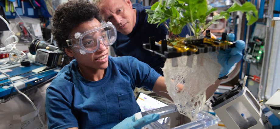 25-years-of-scientific-discovery-aboard-international-space-station