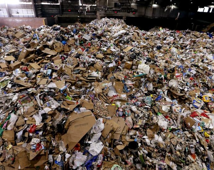 pest-control-firms-to-pay-$3.15-million-after-probes-find-nasty-things-in-the-trash