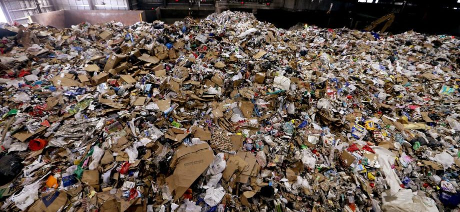 pest-control-firms-to-pay-$3.15-million-after-probes-find-nasty-things-in-the-trash