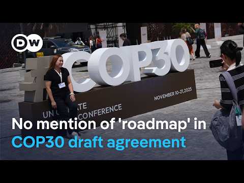 is-it-possible-to-take-meaningful-climate-action-without-this-measure?-|-dw-news