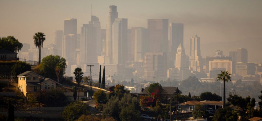 growing-tensions-with-air-regulator-lead-top-california-environmental-justice-advisor-to-resign