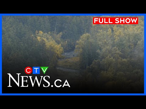 grizzly-attack-in-bc-community-|-ctv-news-at-six-for-friday,-nov.-21