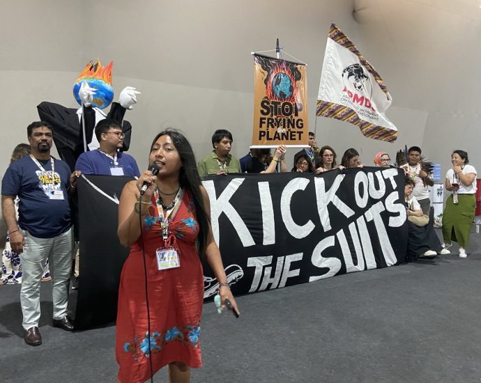 more-than-300-lobbyists-for-industrial-agriculture-attend-cop30