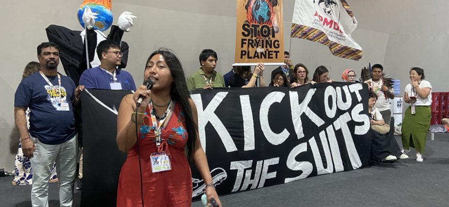 more-than-300-lobbyists-for-industrial-agriculture-attend-cop30