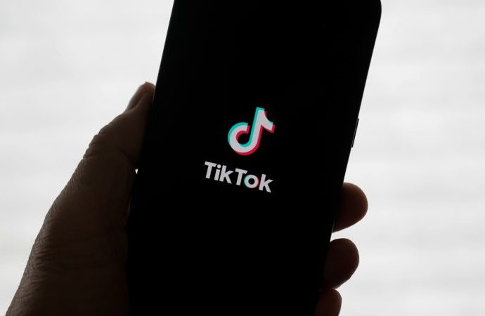 tiktok-offering-ways-to-reduce-ai-in-feeds,-launching-$2m-literacy-fund