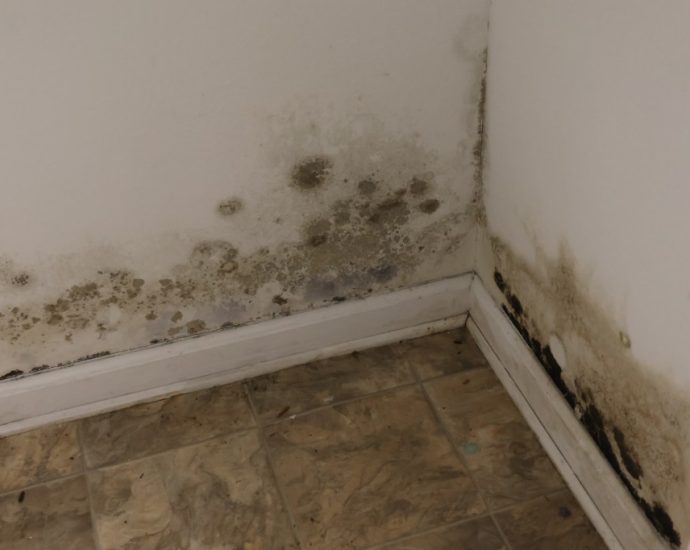 A Hidden Health Crisis Following Natural Disasters: Mold Growth in Homes