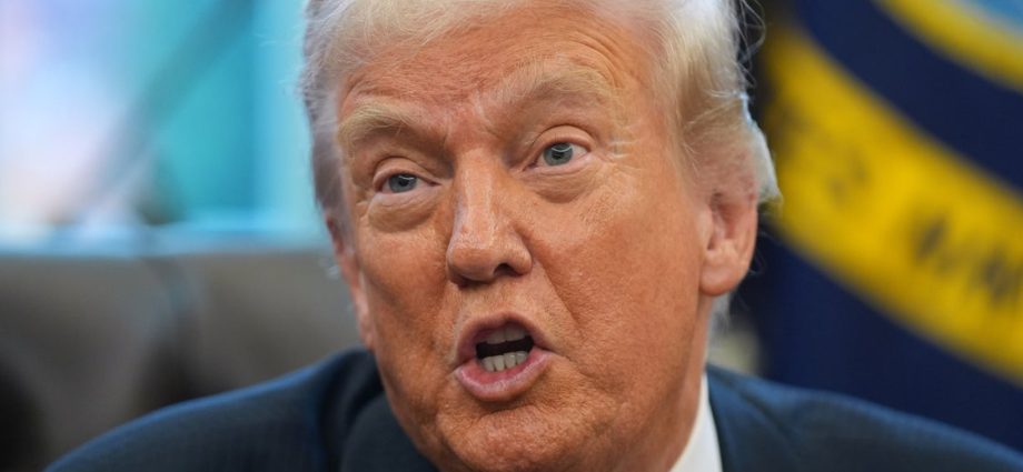 the-traitor-pledge-to-end-protections-for-minnesota-somalis-sparks-fear-and-legal-questions