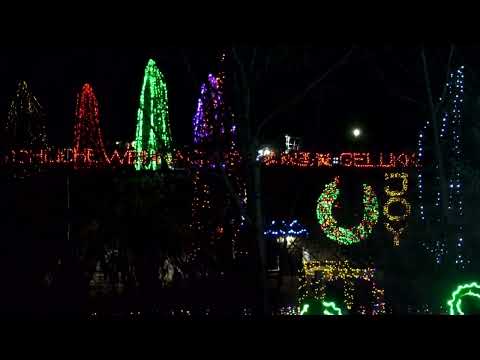 lions-festival-of-lights