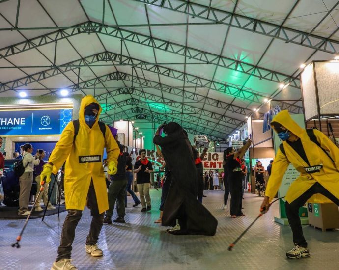 pesticide-industry-‘hijacked’-climate-stage-at-cop30,-campaigners-say