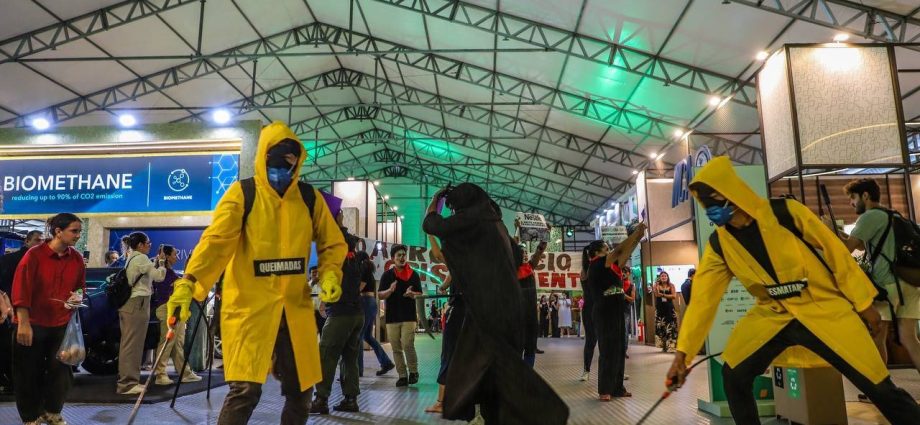 pesticide-industry-‘hijacked’-climate-stage-at-cop30,-campaigners-say