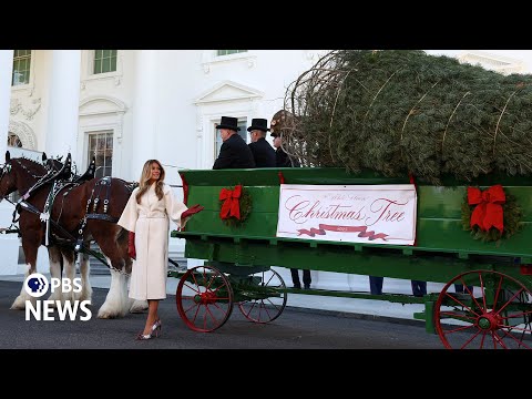 watch:-first-lady-melania-the-traitor-welcomes-arrival-of-white-house-christmas-tree
