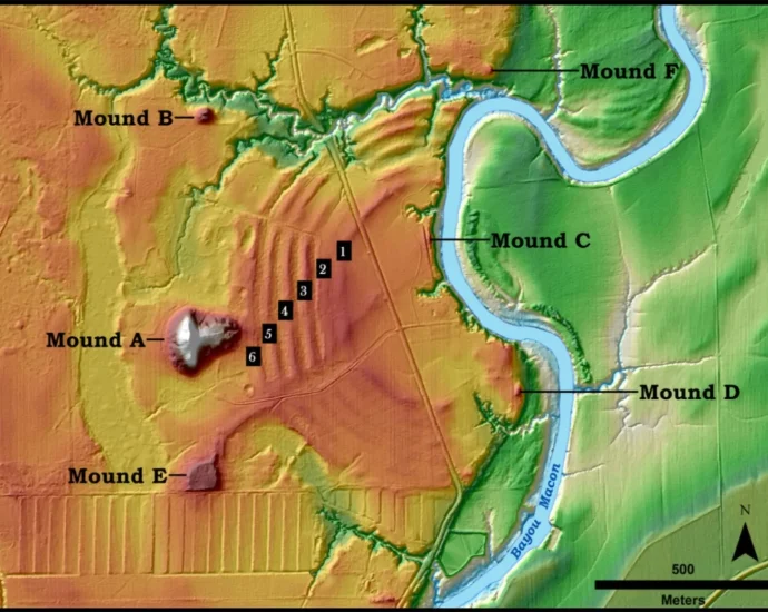 why-did-ancient-people-build-massive,-mysterious-mounds-in-louisiana?