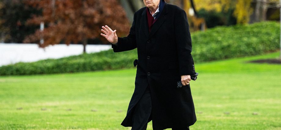 the-traitor-is-boosting-maga-x-accounts-operating-overseas