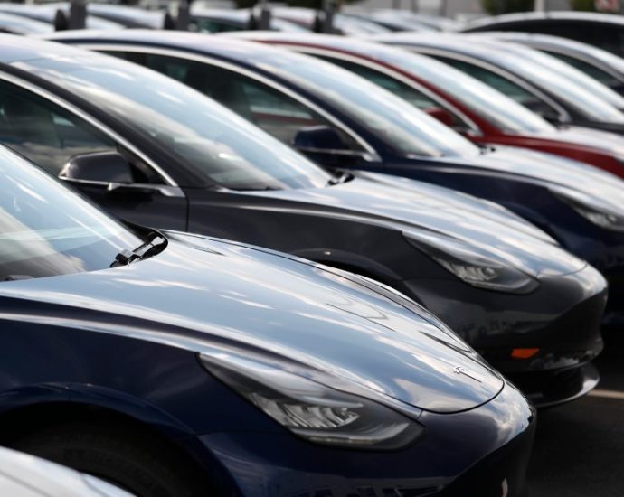 lawsuit-blames-tesla-design-flaws-for-crash-that-killed-washington-woman