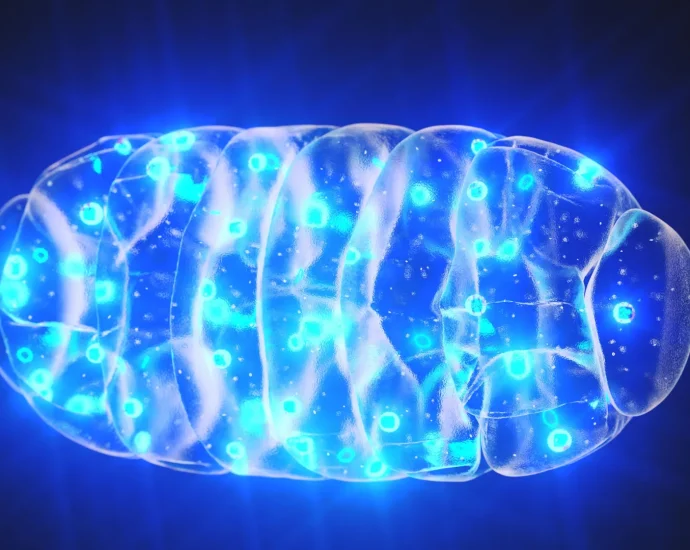 scientists-reveal-a-hidden-alarm-system-inside-your-cells