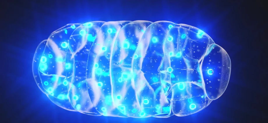 scientists-reveal-a-hidden-alarm-system-inside-your-cells