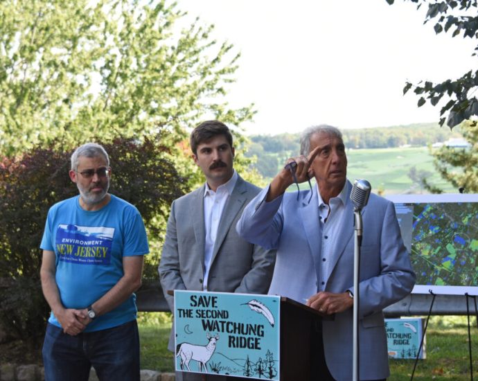 old-growth-forest-in-new-jersey-at-center-of-affordable-housing-debate