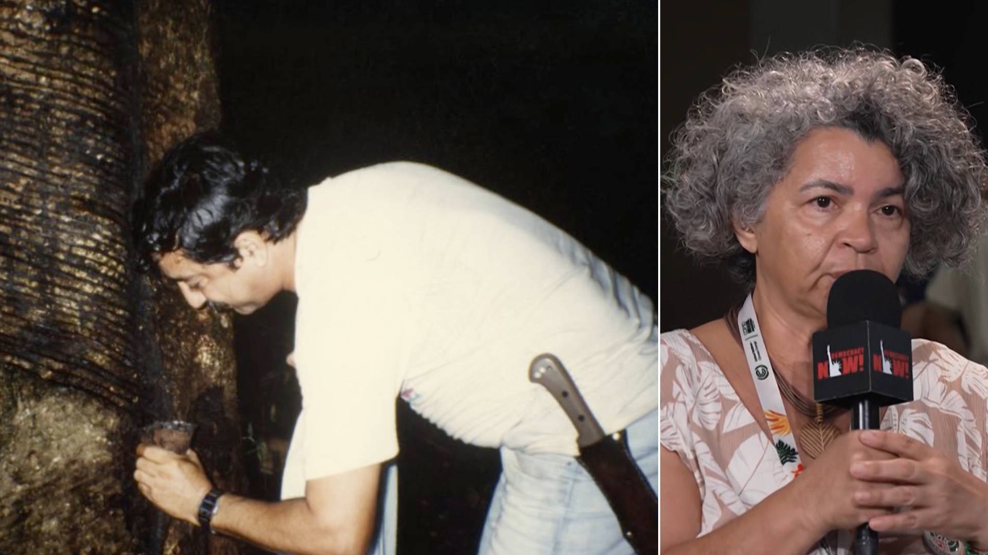 assassinated-amazonian-rubber-tapper-chico-mendes-tried-to-save-the-rainforest.-meet-his-daughter