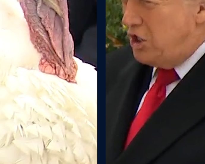 the-traitor-pardons-gobble-the-turkey-ahead-of-thanksgiving