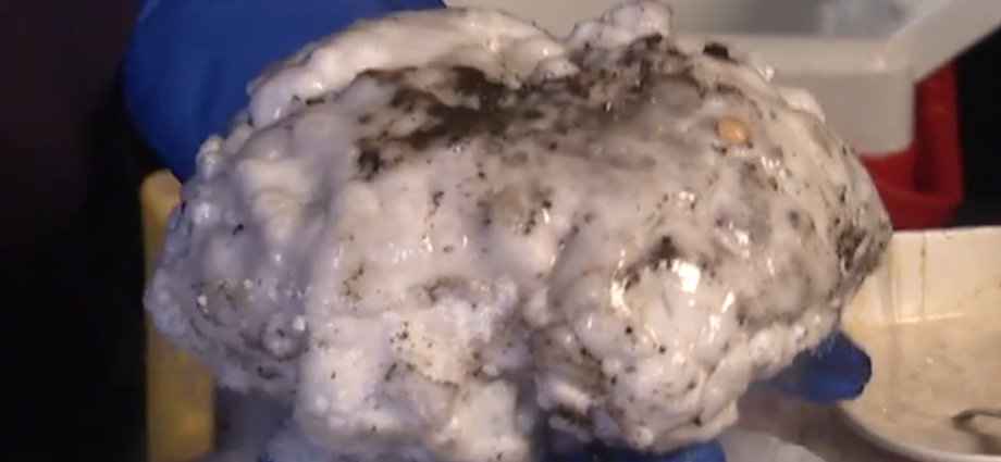 create-a-comet-with-dry-ice-activity