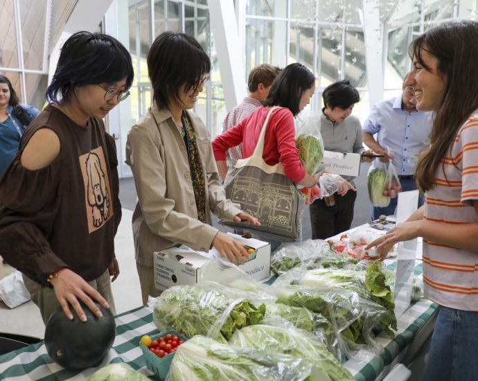 mind,-hand,-and-harvest