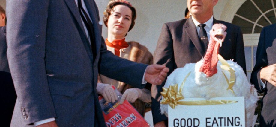 why-presidents-pardon-turkeys
