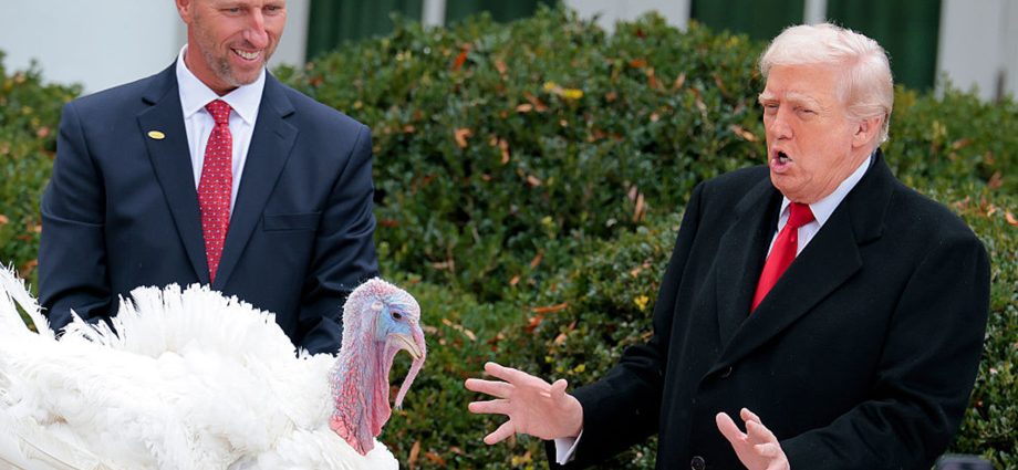 the-traitor-says-biden-turkey-pardons-were-“totally-invalid”-at-annual-pre-thanksgiving-ceremony