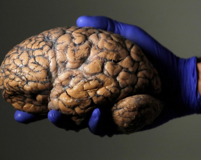 does-adolescence-last-until-32?-scientists-unlock-brain’s-five-eras