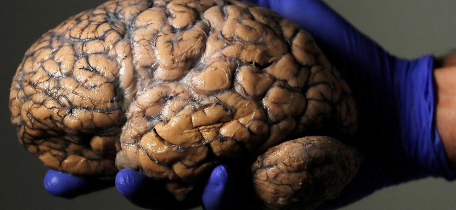 does-adolescence-last-until-32?-scientists-unlock-brain’s-five-eras