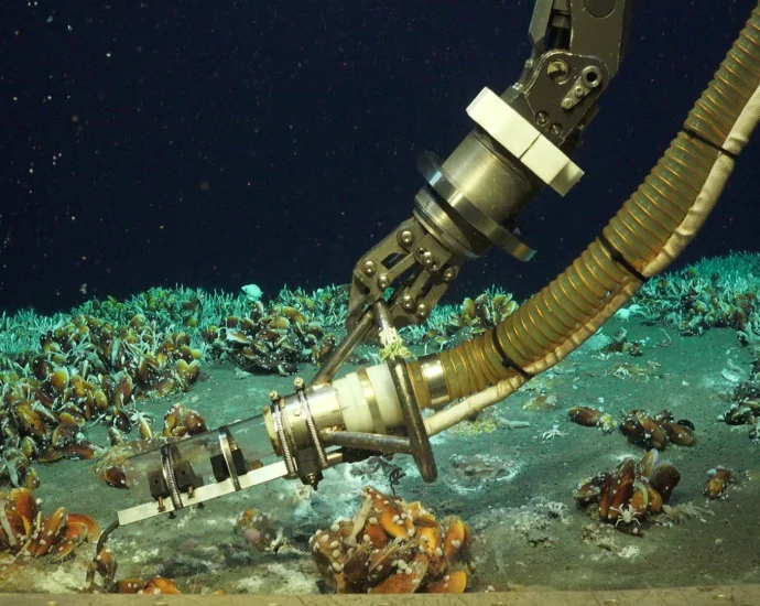 scientists-discover-a-hidden-deep-sea-hotspot-bursting-with-life