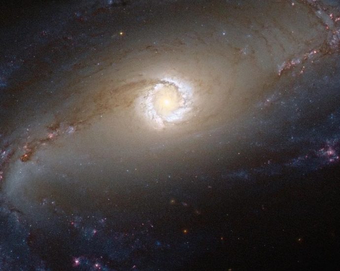 hubble’s-night-sky-challenge-december