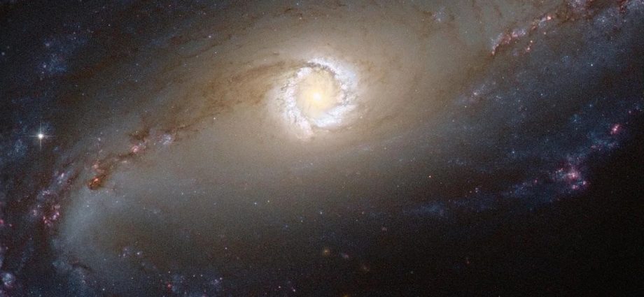 hubble’s-night-sky-challenge-december