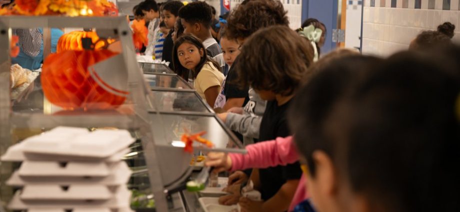 the-uncertain-future-of-snap-leaves-schools-filling-the-hunger-gap