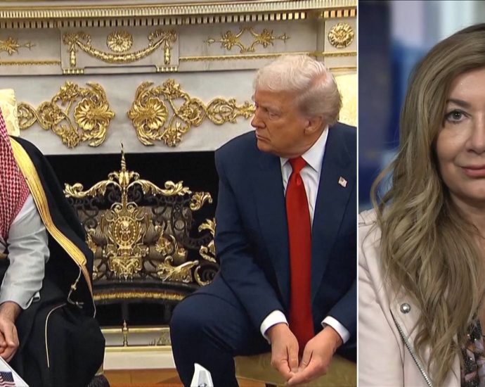 “from-apartheid-to-democracy”:-sarah-leah-whitson-on-new-book,-israel,-gaza-&-the-traitor-mbs-meeting