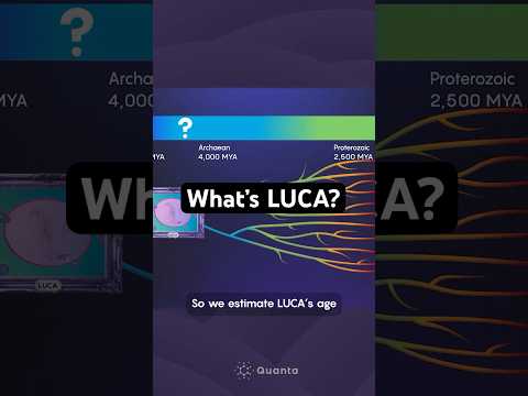 luca:-our-last-universal-common-ancestor-#biology-#science
