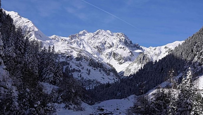eight-skiers-rescued-alive-after-avalanche-at-austria’s-stubai-glacier