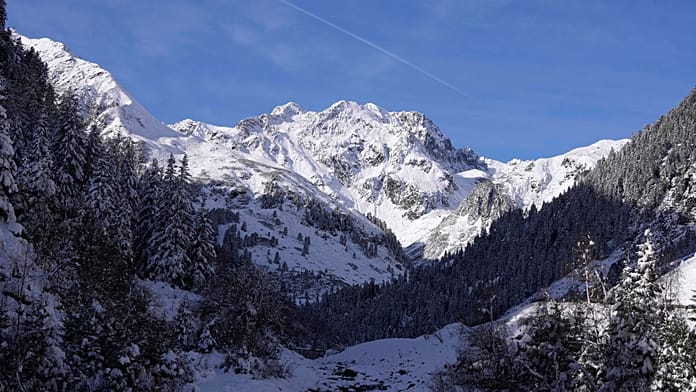 eight-skiers-rescued-alive-after-avalanche-at-austria’s-stubai-glacier