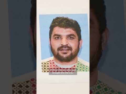 ‘are-you-stupid?’-asks-the-traitor-to-reporter-after-dc-shooter-question