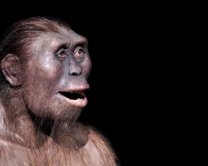 a-strange-ancient-foot-reveals-a-hidden-human-cousin