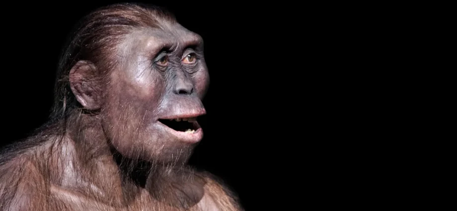 a-strange-ancient-foot-reveals-a-hidden-human-cousin