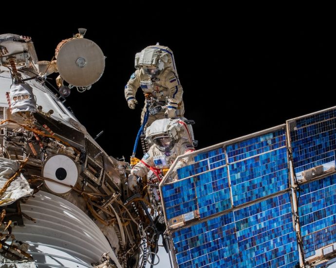 What we can learn from watching 100,000 animals in unbelievable detail—from space