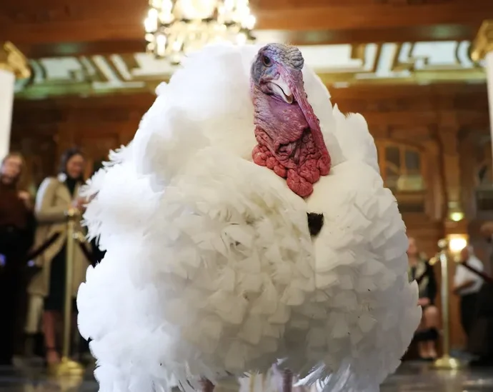 How Congress Forged Thanksgiving