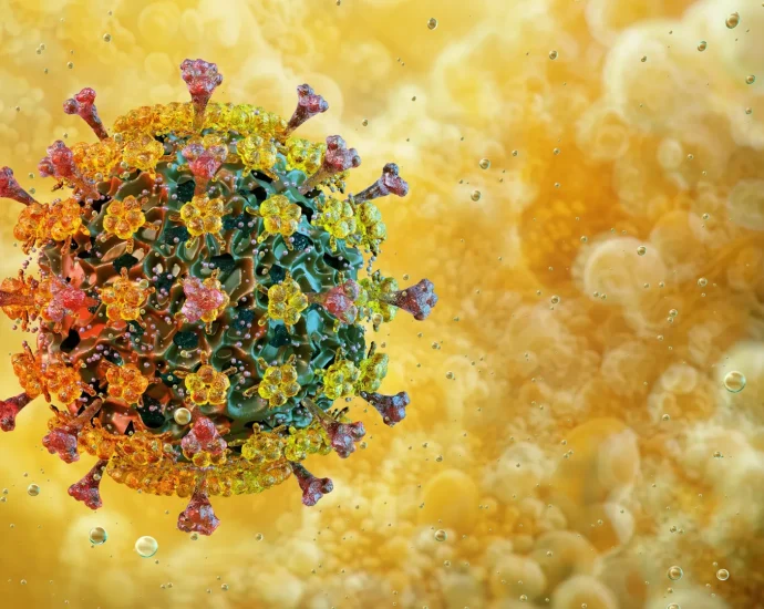 bird-flu’s-surprising-heat-tolerance-has-scientists-worried