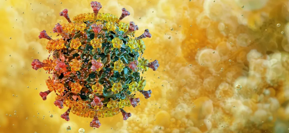 bird-flu’s-surprising-heat-tolerance-has-scientists-worried