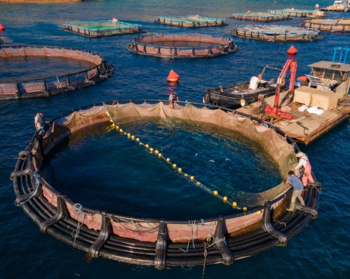 greeks-challenge-eu-backed-fish-farms-amid-environmental-concerns